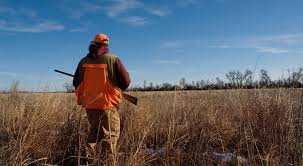 10 Things You Must Know Before You Go for Hunting in 2022