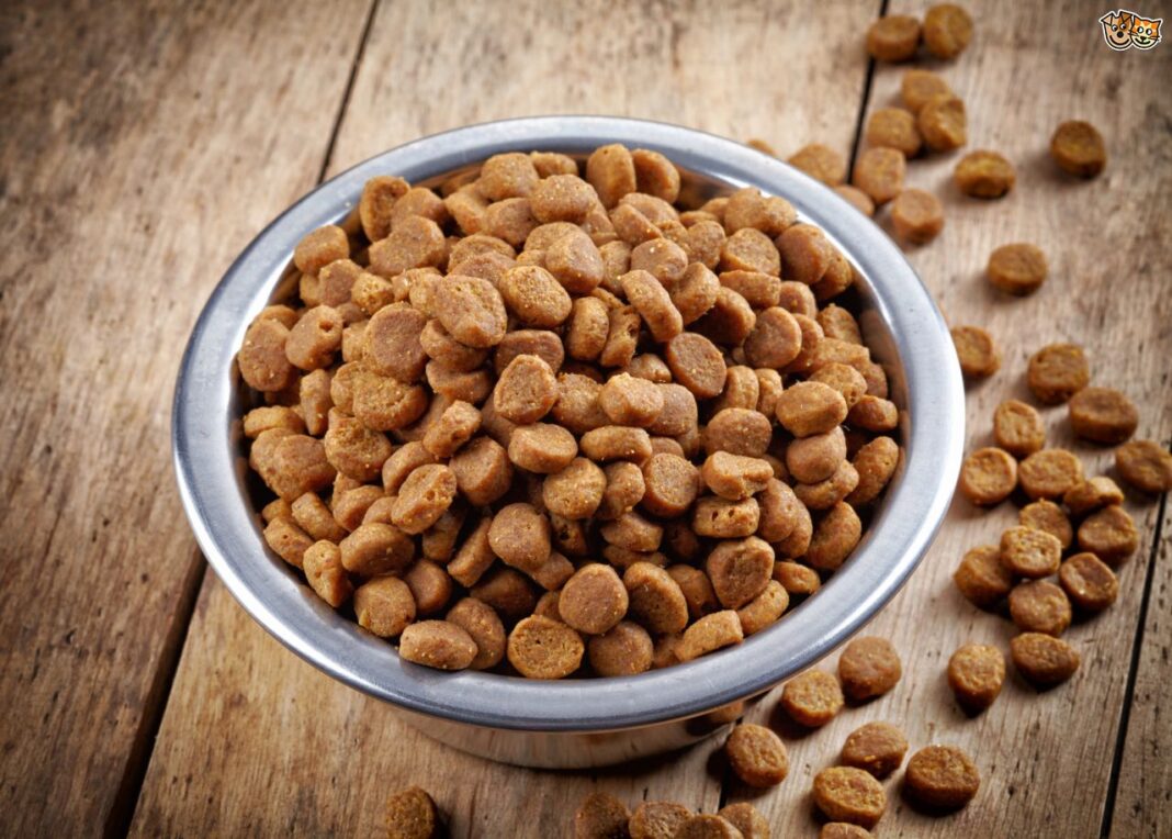 7 Harmful Foods You Should Avoid Giving To Your Cat in 2022 Akt in Motion