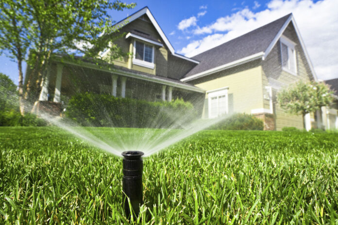 grass water