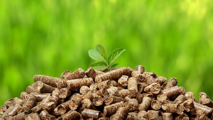 biomass