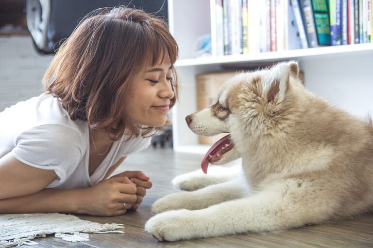 6 Things Pet Owners Living in Apartments Should Know About Pet Rights